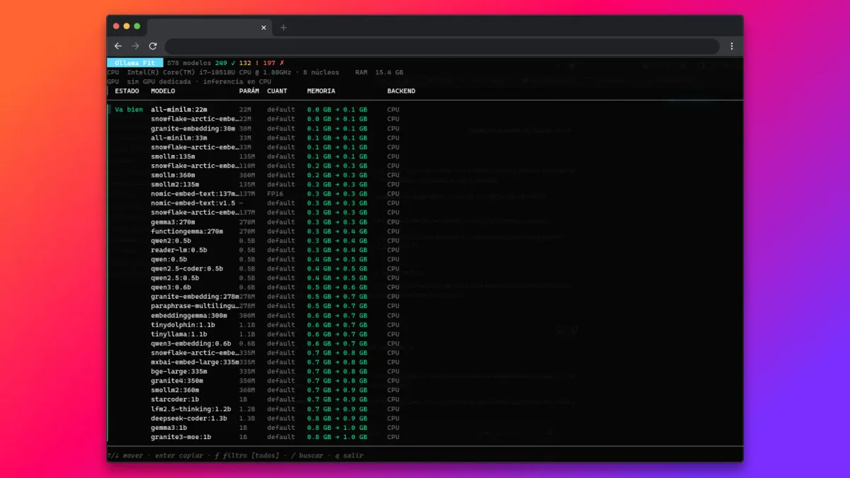 Screenshot of the project Ollama-Fit
